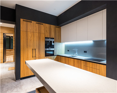 Modern Large Storage Practical Wood Veneer Kitchen Cabinet