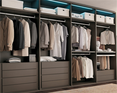 Modern Large Sized Durable Paint Walk-In Closet